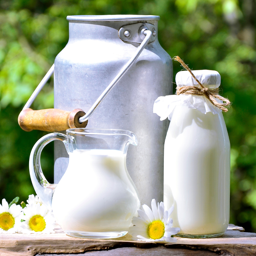 Raw milk from local Nampa dairies